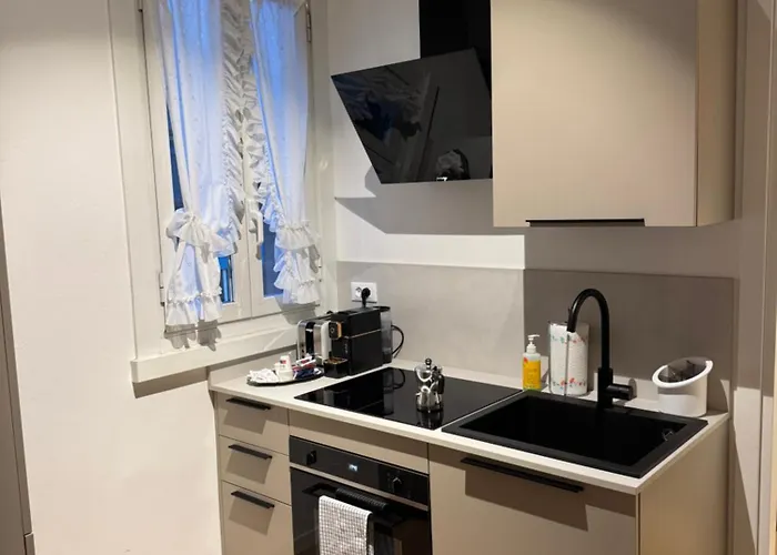 Loft Menabrea 12